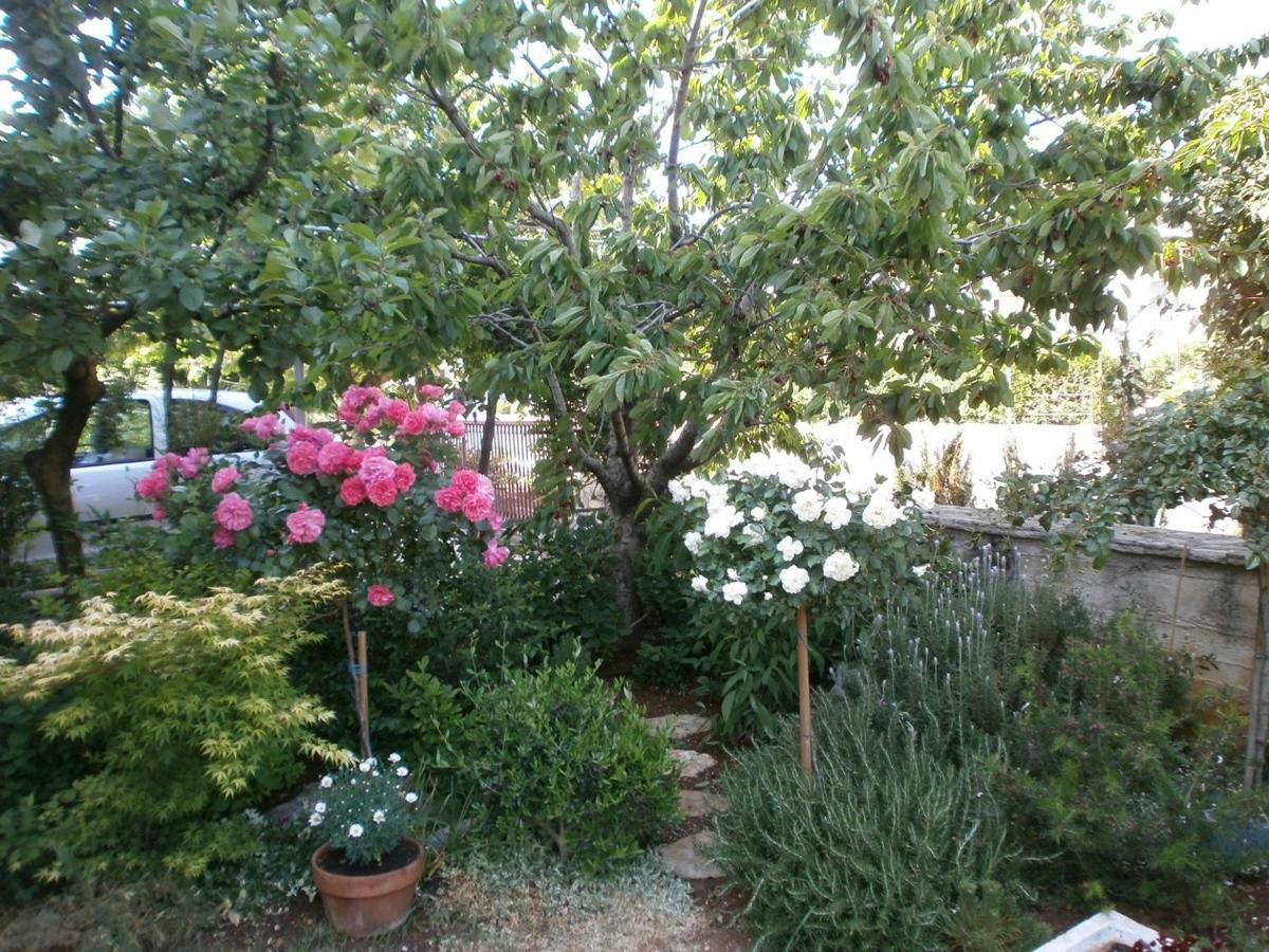 Villa Vrancic Rovinj Ngoại thất bức ảnh