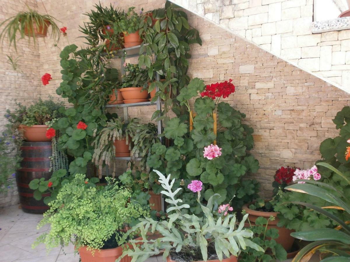 Villa Vrancic Rovinj Ngoại thất bức ảnh